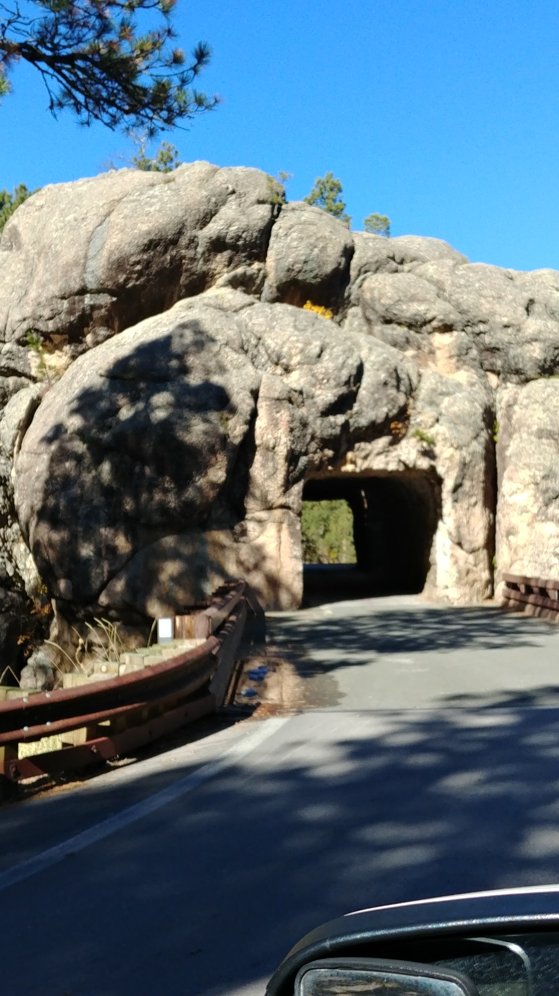 Custer Loop Entrance to one of the two tunnels on Custer State Park Wildlife Loop ...